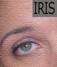 IRIS system helps Utah residents